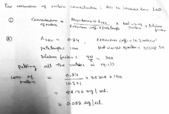 for estimation of protein concentration ii Acc to Larubent Beer Law Absorbane at 1280 x aral whas ilubon Conculcahon of prote