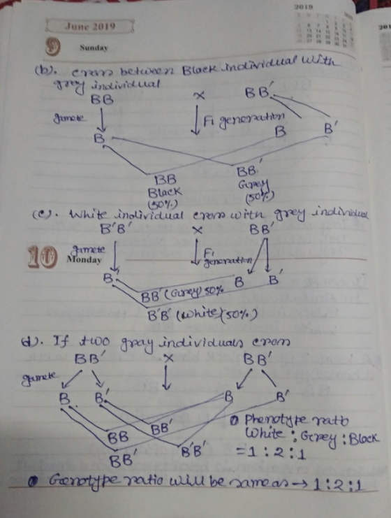 2018 June 2019 Sunday * BB C betwee 2 Black individi are ndividual with gery individual BB fumete Ji generation в В BB Gigay