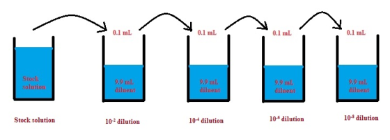 0.1 mL 0.1 ml 0.1 ml 0.1 ml Stock solution 9.9 mL diluent 9.9 mL diluent 9.9 ml diluent 9.9 mL diluent Stock solution 10-2 di
