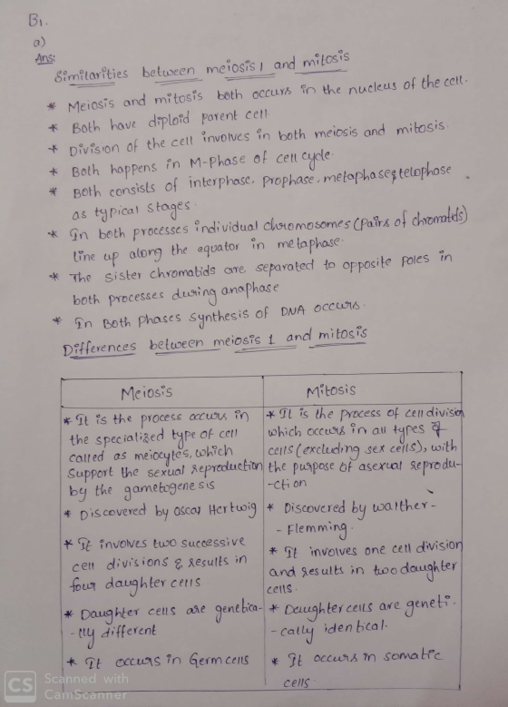 Bi. Ansi Similarities between meiosis, and milosis * Meiosis and mitosis both OCCUys in the nucleus of the cell. * Both have