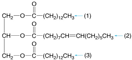 CH2--0-6—(CH2)12CH3- o (CH2)7CH=CH(CH2),CH3 (2) CH2-O-C-(CH2) 12CH3 (3)