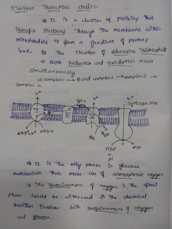 chain- Tans Post Floctaon a cluster f potoing hat 978 ThAOugh to form a TRansfi Ele utaongl The membaane within radiant Paoto