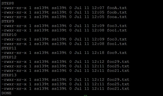 STEP8 -rwxr-xr-x 1 ss139t ss139t 0 Jul 11 12:07 fooA.txt -rwxr-xr-x 1 ss139t ss139t 0 Jul 11 12:05 foob.txt -rwxr-xr-x 1 ss13
