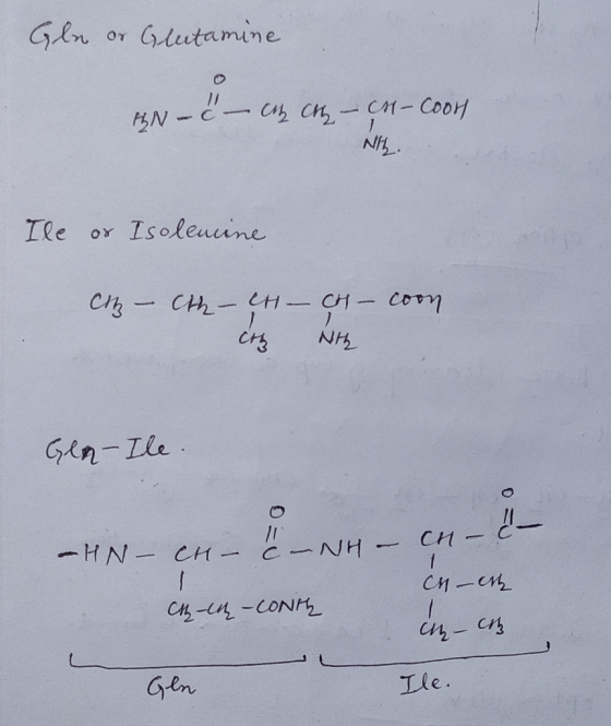 Gla or Gleitamine AN - 8 - Cher Chy – CH-Coon Nih. Ile or Isoleucine cz - the - coon H- cez H- Nih Gla-Ile. CH- -HN- CH - Cn.
