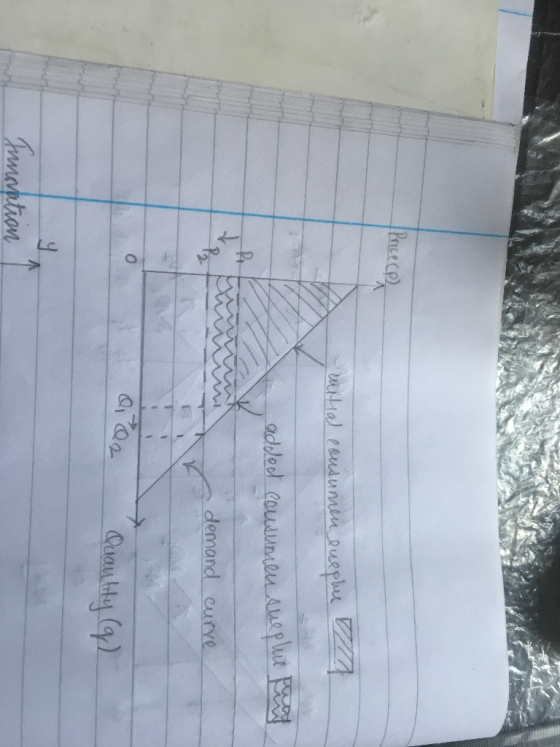 Pricecp 4 witial consumen enephe аdеd социд Оли Америл реа demand curve © фо Quantity (g) tou
