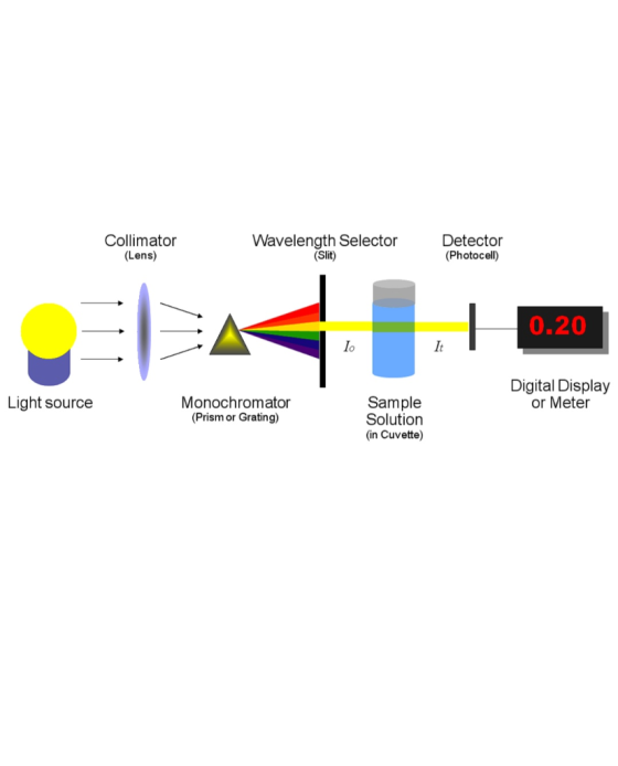 Collimator (Lens) Wavelength Selector (Slit) Detector (Photocell) 0.20 Digital Display or Meter Light source Monochromator (P