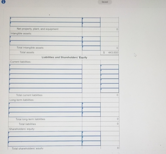Saved Net property, plant, and equipment Intangible assets: $ 443,000 Total intangible assets Total assets Liabilities and Sh
