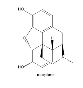 HO HOIl morphine