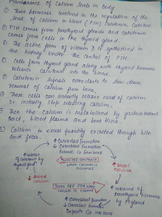 loantanante o Calcium levels in bod Jevol ob Cultiu m in blood (PTH) とalcitonin, Colo mol. Comes rom cells in the throid glan