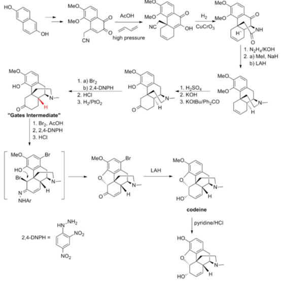 Me AcOH MeO oH2 Meo NC OH CuCro NH он CN high pressure N2H/KOH 2. a) Mel, NaH b) LAH Me 13)Br2 но b) 2.4-DNPH 2. HCI но 1. H2