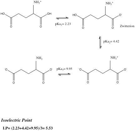 NH, но он но 0 pKa,-2.23 0 Zwitterion 0 0 pKay 4.42 NH NHj o pKa- 9.95 o 0 0 0 Isoelectric Point 1.Р. (2.23+4.42+9.95)/3s 5.5