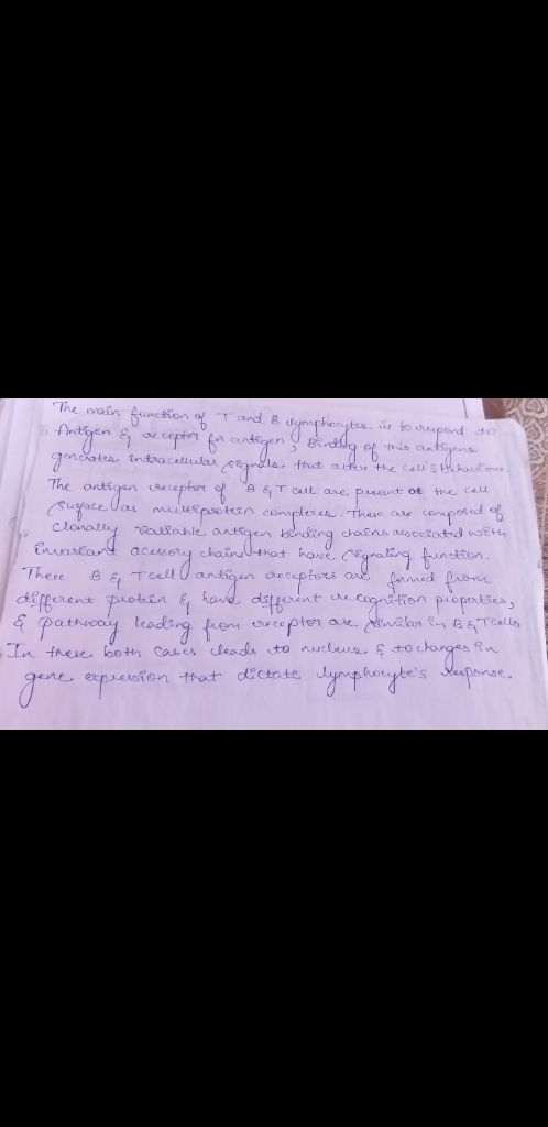 ntgen he ce 卡is a^ enotas tr tac.uula入,C The onti acesser chai-that hONE C Cet leod