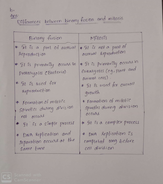 b. Ansi Differences between binary fusion and milosis Binary fusion Mitosis * It is a part of asexual * It is not a part of r