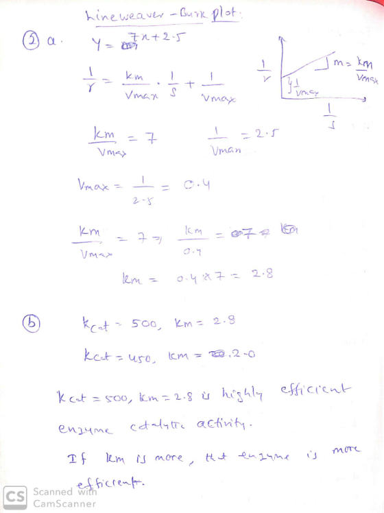 - ③ a Line weaver - Burk plot. 4 a +25 7nt 25 1/= km l makon / h Vman S vncy umay km = 1 -2.5 Uman Vmax= I= 0.4 km = 70 km of