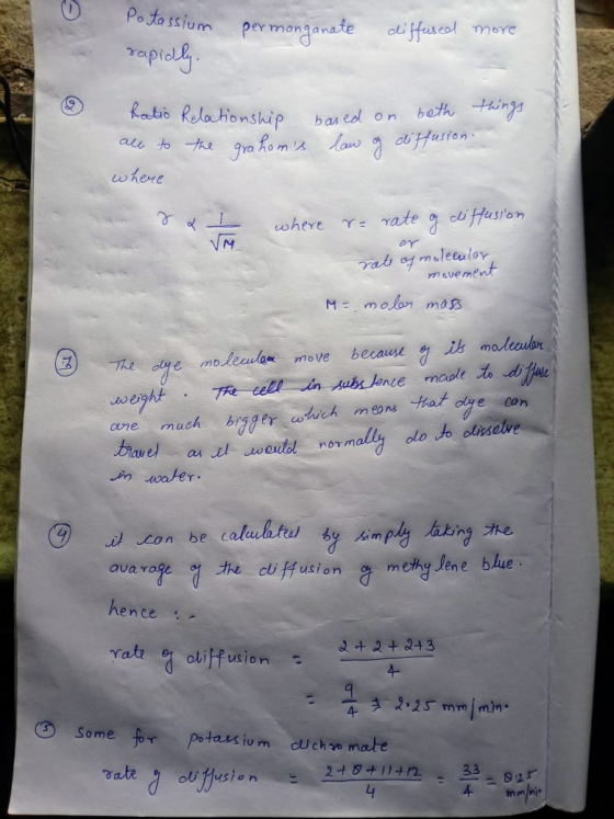 permanganate Potassium rapidly. diffused more Ratio Relationship all to the grahams where based on beth things law of diffus