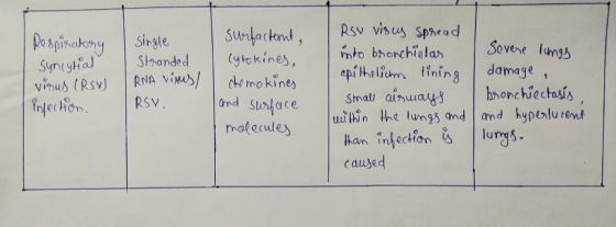 Respiratory Syncytial virus (RSX) infection. Single Stranded | RNA visus/ RSY. surfactent, Cytokines, chemokines and surface