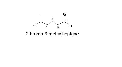 Br 2-bromo-6-methylheptane