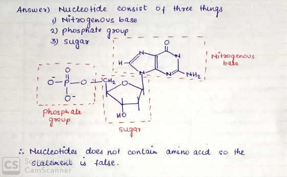 Answer) Nucleotide consist of three thungs Nitogenous base 2) phosphate 9up 3) sugar Nitogenous base NH2 O- Phosph ale ио Sug