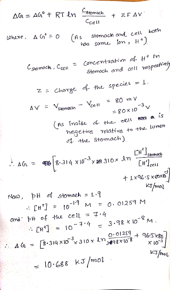 AG = AGⓇ + RT en Estomach Cell + ZE AV Where AG=0 CAS stomach and cell both has same lon, H+). Csto mock, Ceeu = concentratio
