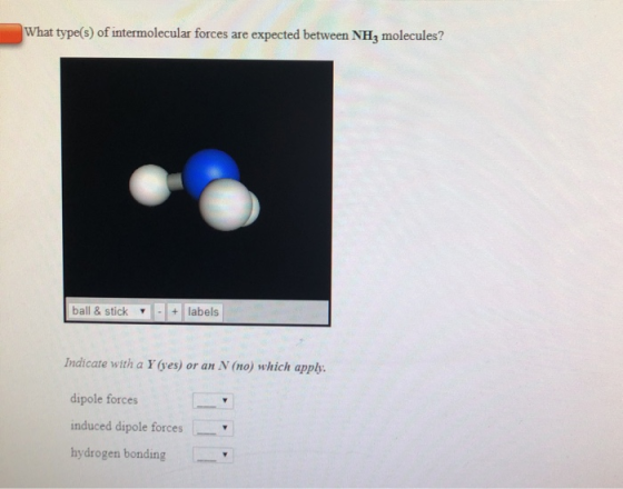 What type(s) of intermolecular forces are expected between NH, molecules? ball & stick - + labels Indicate with a Y (yes) or