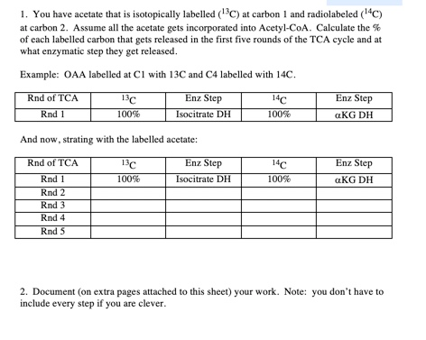 1. You have acetate that is isotopically labelled (c) at carbon 1 and radiolabeled (c) at carbon 2. Assume all the acetate ge