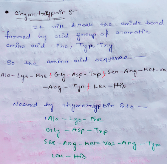• Chymotripsin 8 Set It will breate the formed by acid group of amide bond aromathe amino and Phe, Typ, try So the ameno aud