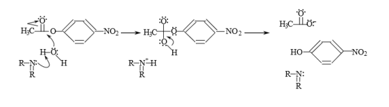 Hic llo:
-NO2
+ HẠC
or
Holy NO2
HO:
R-NUH
R-NH
R-N:
