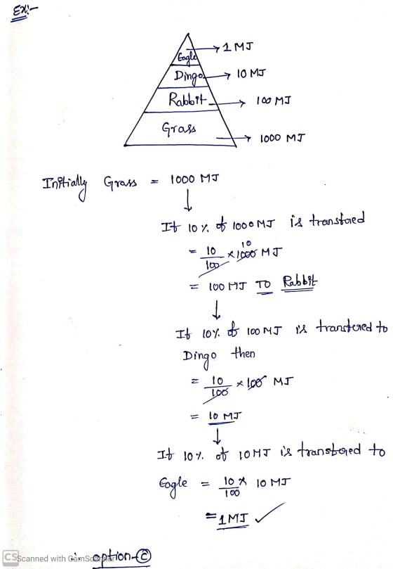 EX 71 MJ Gogle Dingof Rabbit ~ 10 MJ 100 MJ Grass + 1000 MT 1000 MI Initially Grass 1 It 10% of 1000 MJ is transtored 10 10 1