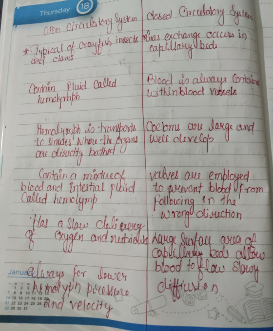 Thursday Thursday (18 Open circulatory System Closed Circulatory dyte *Jubical of Crayfish, insects Gias exchange occurs in a