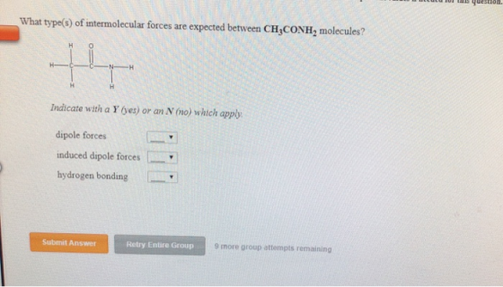 What type(s) of intermolecular forces are expected between CH,CONH, molecules? Indicate with a Y (yes) or an N (no) which app