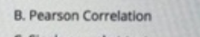 B. Pearson Correlation