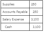 Supplies 250 250 Accounts Payable Salary Expense 3.100 Cash 3.100