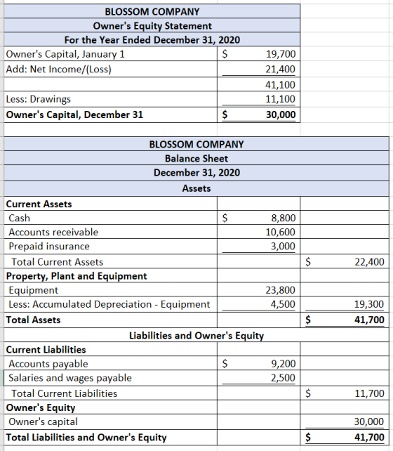 BLOSSOM COMPANY Owners Equity Statement For the Year Ended December 31, 2020 Owners Capital, January 1 $ Add: Net Income/(L