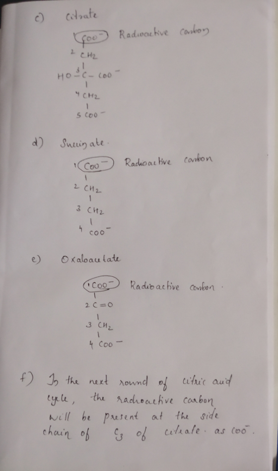 c) citrate Goo Radwactive comboy 2 CH2 HOSC- cool CH2 scoot d) Surinate. Coo Radioactive carbon 2 CH2 3 CH2 cool e oxaloauta