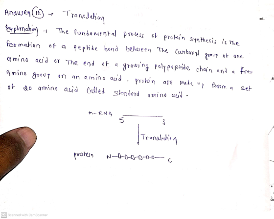 TransJation Int. Anower (10 Explanation The fundamental process of protein synthesis is the formation of a of a peptide bond