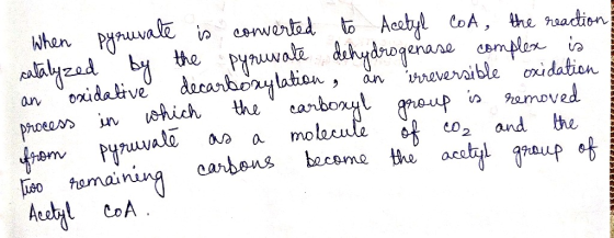 When pyruvate is converted to Acetyl CoA, the reaction catalyzed by the pyruvate dehydrogenase complex is an oxidative decarb