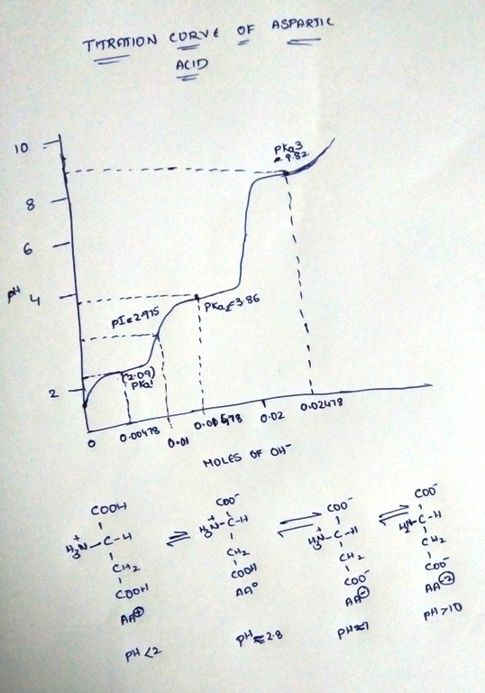 TITRATION CURVE OF ASPARTIe ACID 10 Pko3 182 8. PIe2415 PKaf386 O-o0418 0-op 578 0-02419 O-02. MOLES OF O4- COOH Co0 CA2 CH2