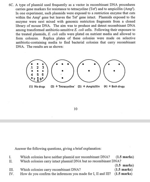 6C. A type of plasmid used frequently as a vector in recombinant DNA procedures carries gene markers for resistance to tetrac