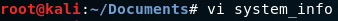 root@kali.-/ Documents# vi systeminfo -