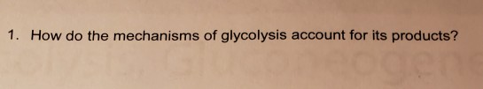 1. How do the mechanisms of glycolysis account for its products? gen