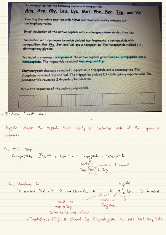 Styles A decapeptide has the following amino acid composition: Arg, Asp, Gly, Leu, Lys, Met, Phe, Ser. Trp, and Val Reacting