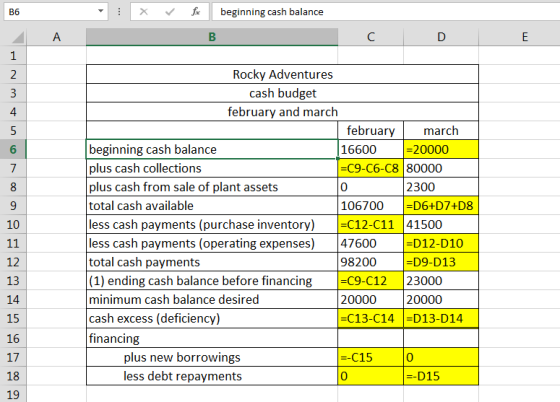 beginning cash balance А В C D E 1 Rocky Adventures 2 cash budget february and march 4 february march beginning cash balance