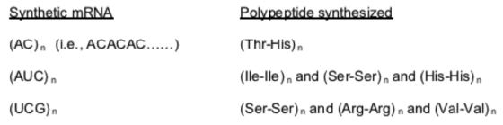 Synthetic mRNA Polypeptide synthesized (AC), (i.e., ACACAC......) (Thr-His). (AUC), (lle-lle), and (Ser-Ser), and (His-His).