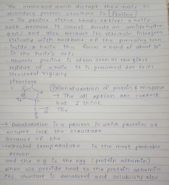 The amino acid which disrupt the a-helix in secondary protein structure is I Peoline & The peoline eithee breaks de kinks a h