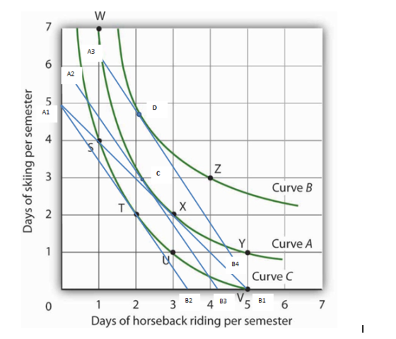 AY AZ 4 C. 3 Curve B 2 YCurve A Curve C 3 4567 B1 2 0 Days of horseback riding per semester