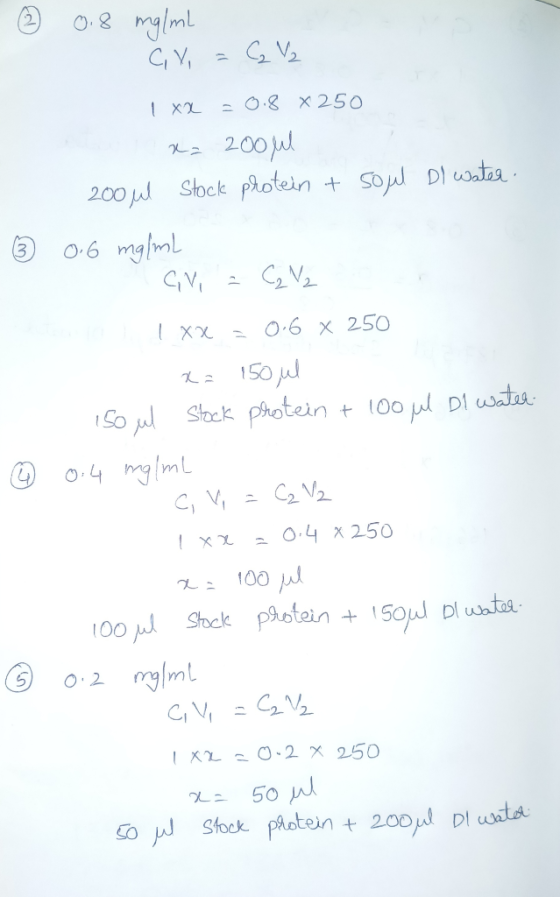 - ② 0.8 mg/ml C, Y = C V2 I XX = 0.8 8250 x=200u 200 ul stock protein + soul Dl water. ② 0.6 mg/ml Cv = C , SA ! XX = 0.6 x 2
