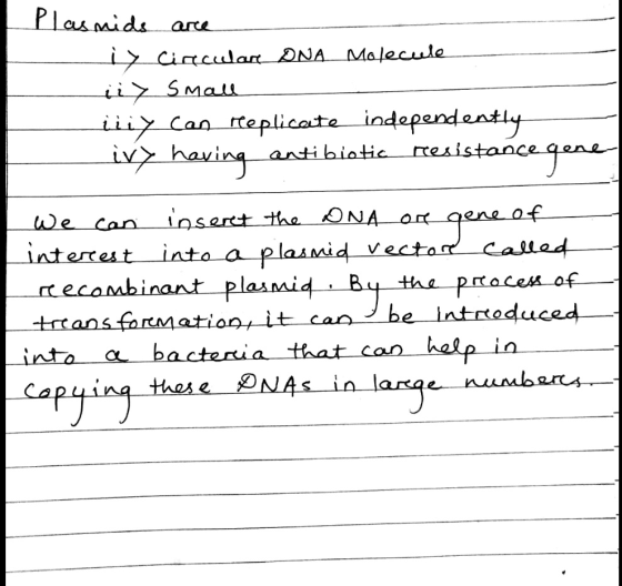 Plasmids are iz Circuare DNA molecule i > Small iiiy can replicate independently ivy having antibiotic resistance gene We can