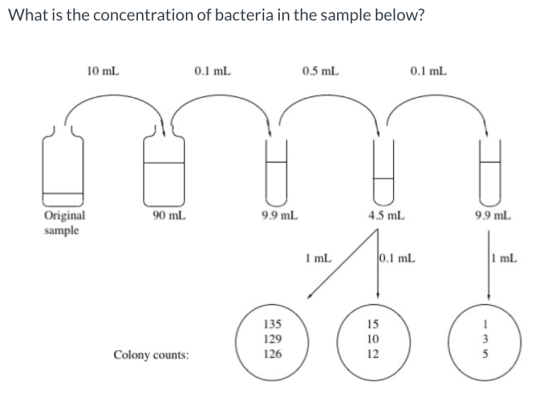 What is the concentration of bacteria in the sample below? 10 mL 0.1 mL 0.5 mL 0.1 mL 90 mL 9.9 mL 4.5 mL 9.9 mL Original sam