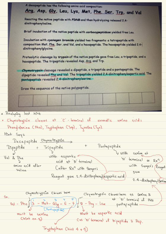 Styles A decapeptide has the following amino acid composition: Arg, Asp, Gly, Leu, Lys, Met, Phe, Ser. Trp, and Val Reacting