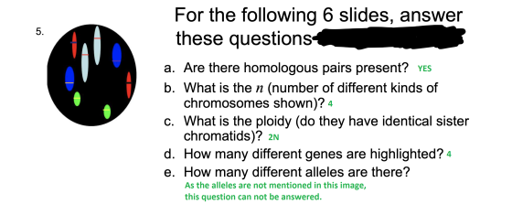 5. For the following 6 slides, answer these questions a. Are there homologous pairs present? Yes b. What is the n (number of